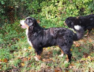 southern315698442_5116949558049370931_n