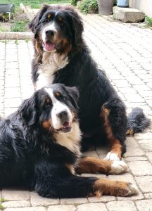 southernTomcattin53442_5329414762239158134_n