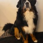 stark74064_6990264686352538732