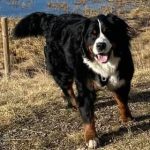 summer01_6996942269297468538