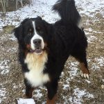 urgo705712_7520989110593547288_n