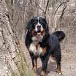 utess951718142991092_4059019089755810501_n