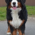 168508909_10220120368174171_5935735421154261424_n