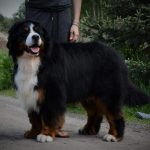 345658780_809430470835190_3378992592494275061_n