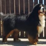 346647731_796345225388885_1441997059713126066_n