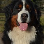 346852460_1317990785821101_7359757069065494962_n